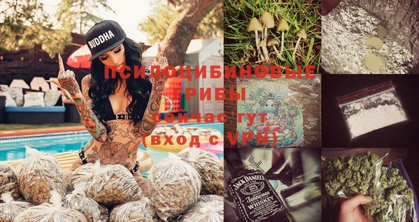 прущий лед Алексеевка