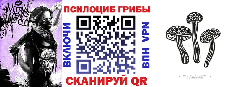 Псилоцибиновые грибы GOLDEN TEACHER  гидра рабочий сайт  Тавда  цены наркотик 